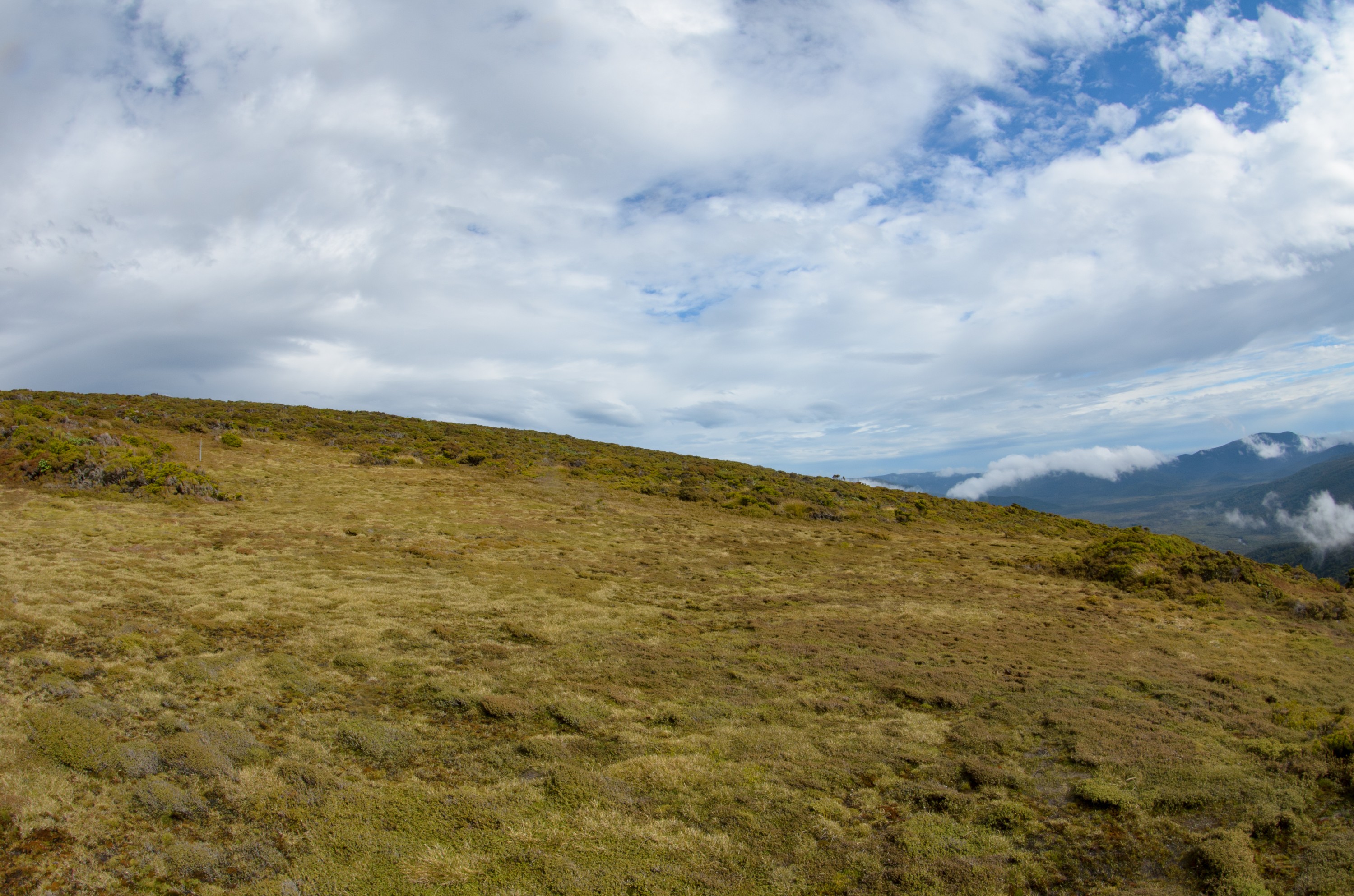 DSC_3080 – Adventure, Crispin, Island, March 2017, National Park, New, New Zealand, Rakiura, South, Stewart, Zealand